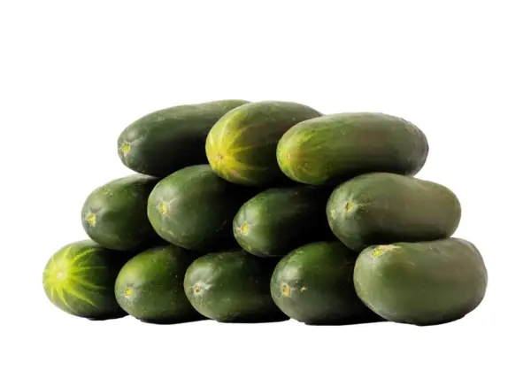 Cucumber (kg)