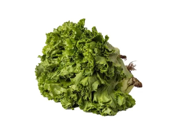 Lettuce (Per kg)