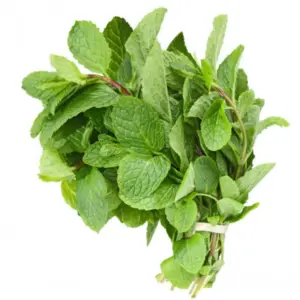 Mint Leaf (Per Bunch)